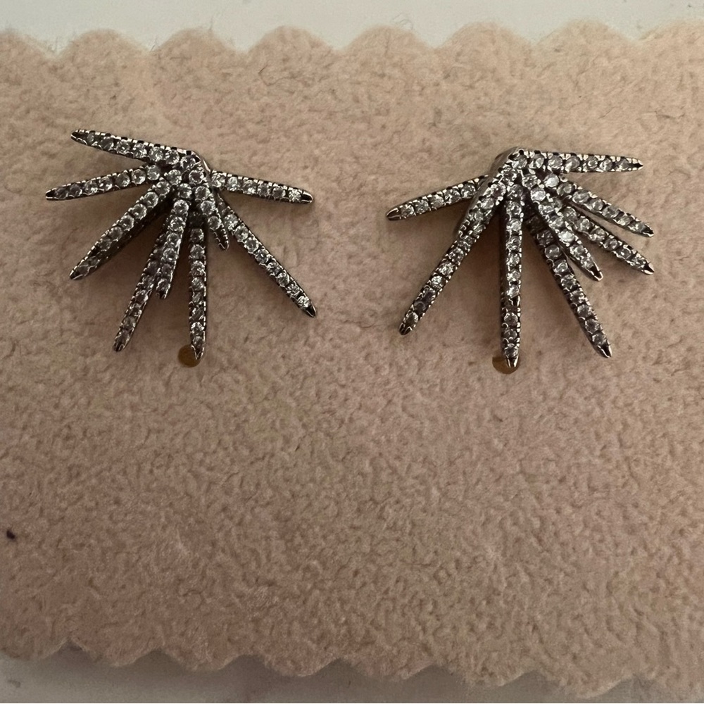Shiny earings